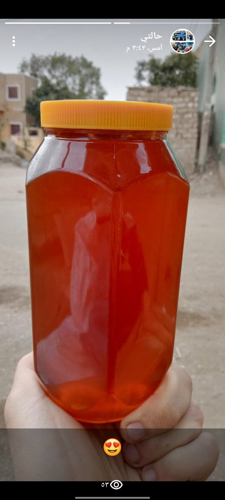 خير النحل